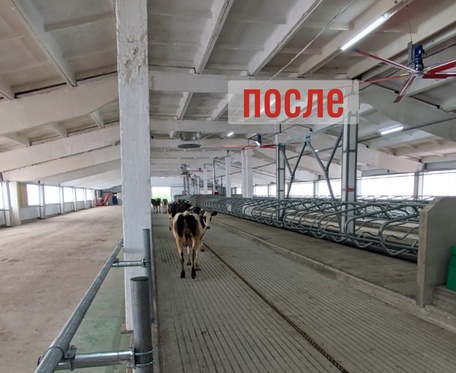 Реконструкция зданий и сооружений