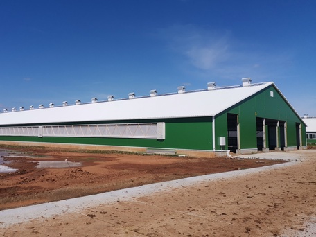 Строительство сельскохозяйственных объектов