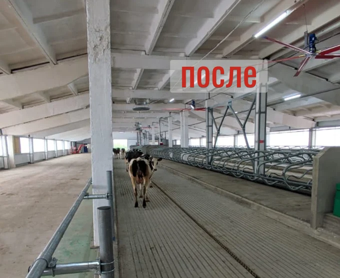 Реконструкция зданий и сооружений