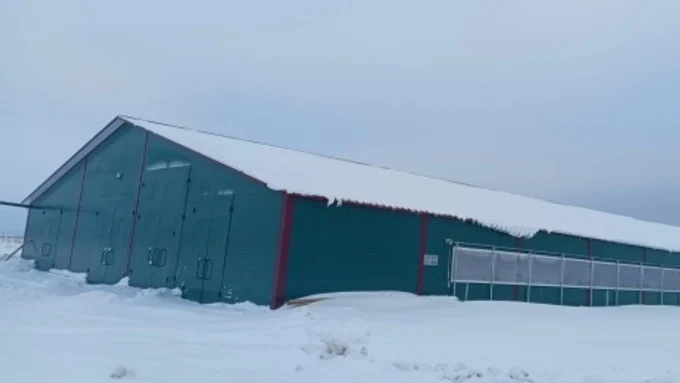 Строительство сельскохозяйственных объектов