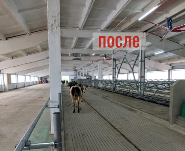 Реконструкция зданий и сооружений